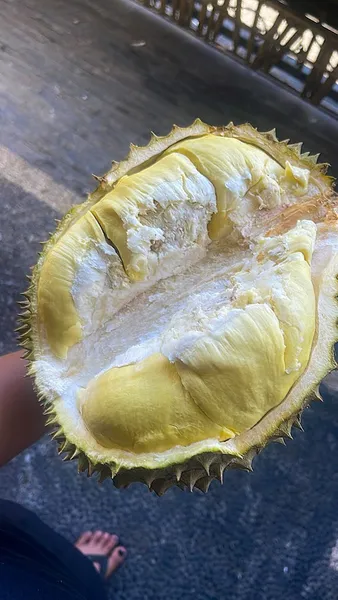 SINTA DURIAN MONTONG BALI