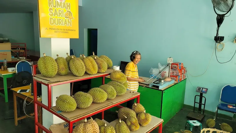 Rumah Sari Durian