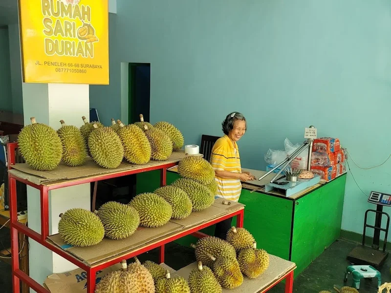 Rumah Sari Durian