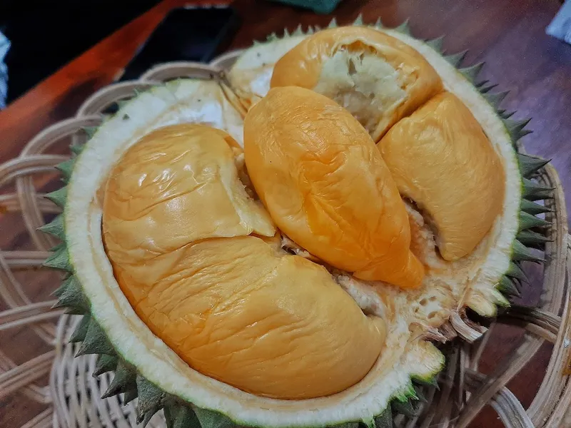 Rumah Durian Cemara - Surabaya Barat