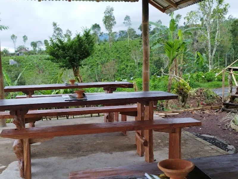 luwak coffee and tea ( BB LUWAK COFFEE)banyumala wanagiri