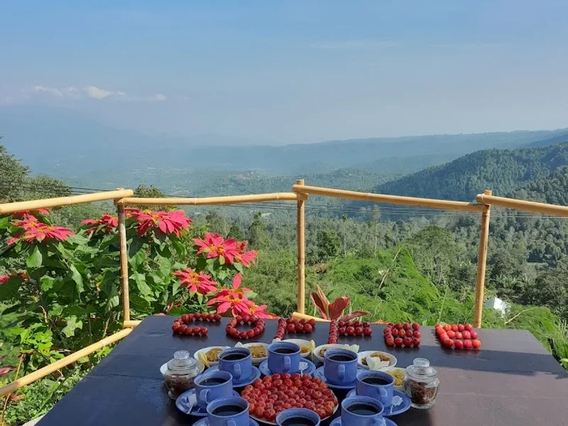 Munduk Gedong Agro,Warung Coffee Farm & Honeybee, Sunset View