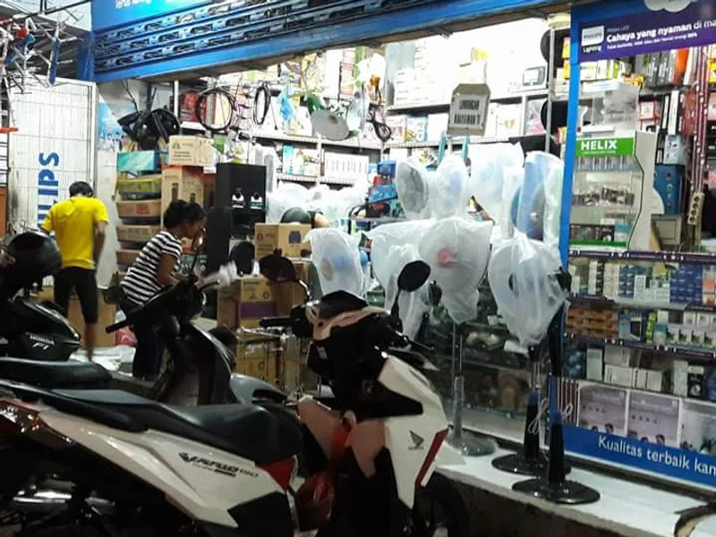 Buana Mas Elektronik