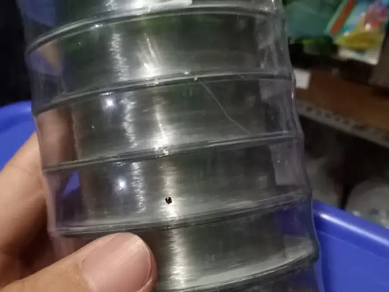 Toko Sari Laut Pancing