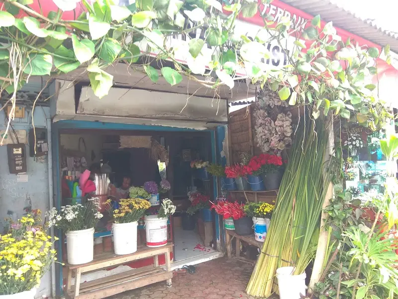 Astina Florist