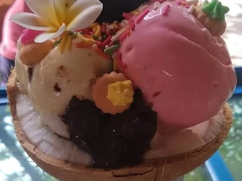 Coconut ice cream & gelato