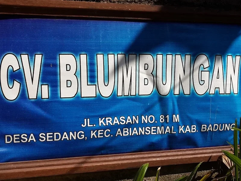 Blumbungan. CV
