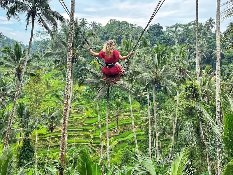 BALI TOUR and TAXI DRIVER