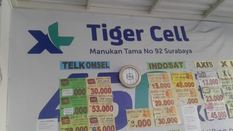 Tiger Cell