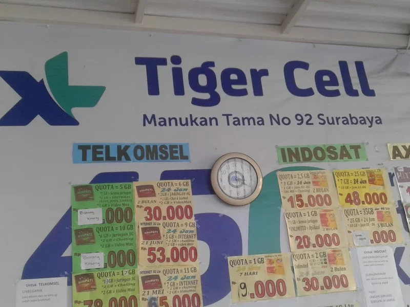 Tiger Cell