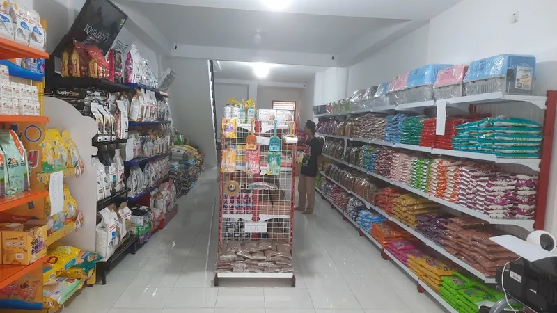 Iridium Petshop