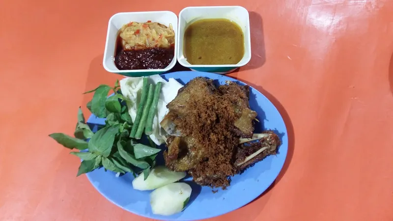 BEBEK HANDAYANI