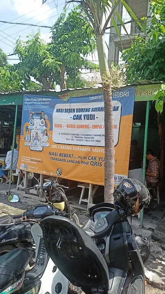 Nasi Bebek Sayank Anak Pak Yudi