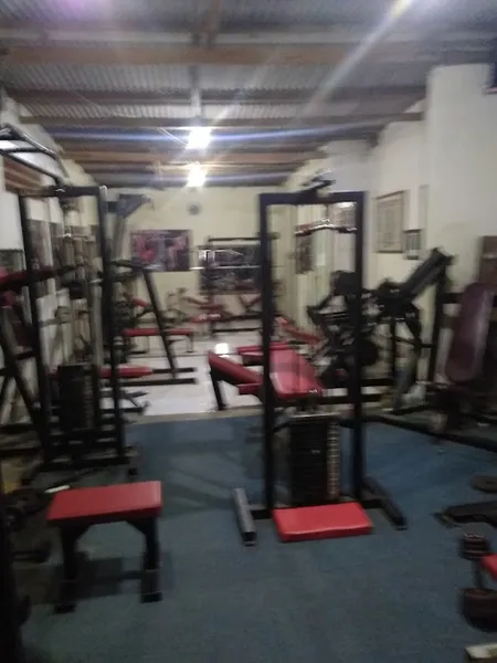 Prima Gym