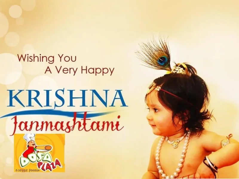 Dosa Plaza Punjabi Tadka Restaurant