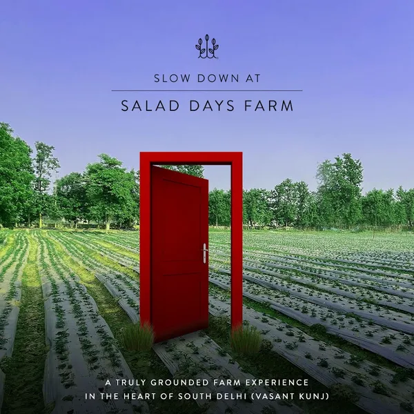 Salad Days | Gole Market