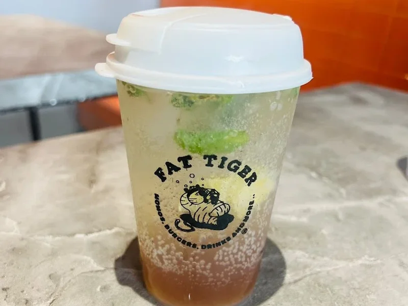 Fat Tiger- Kashipur
