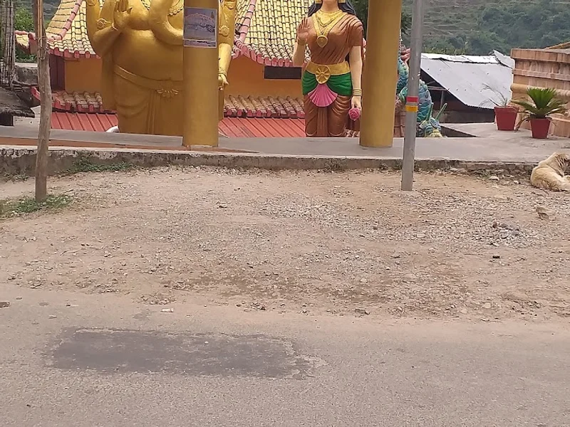 Punjabi zayka chicken point and realstaurant