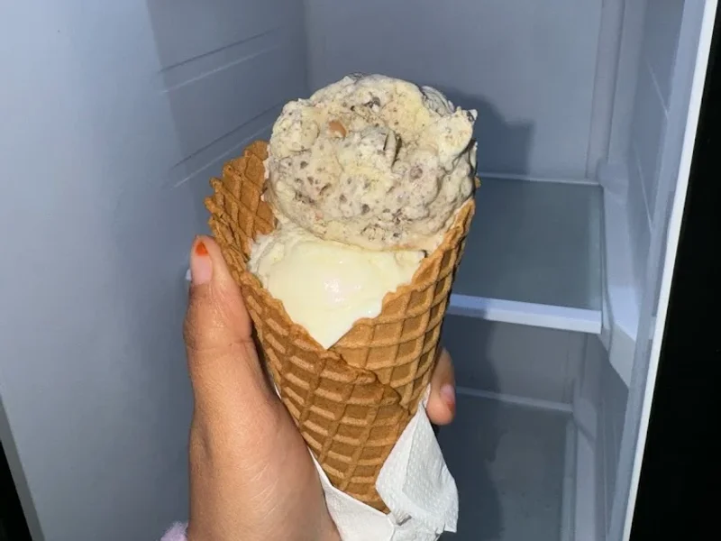 Baskin Robins Icecream Outlet