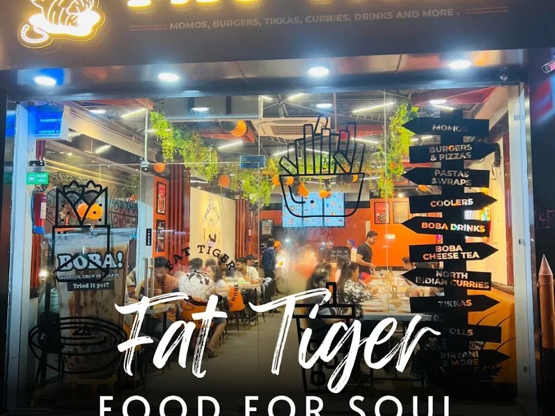 Fat Tiger- Kashipur