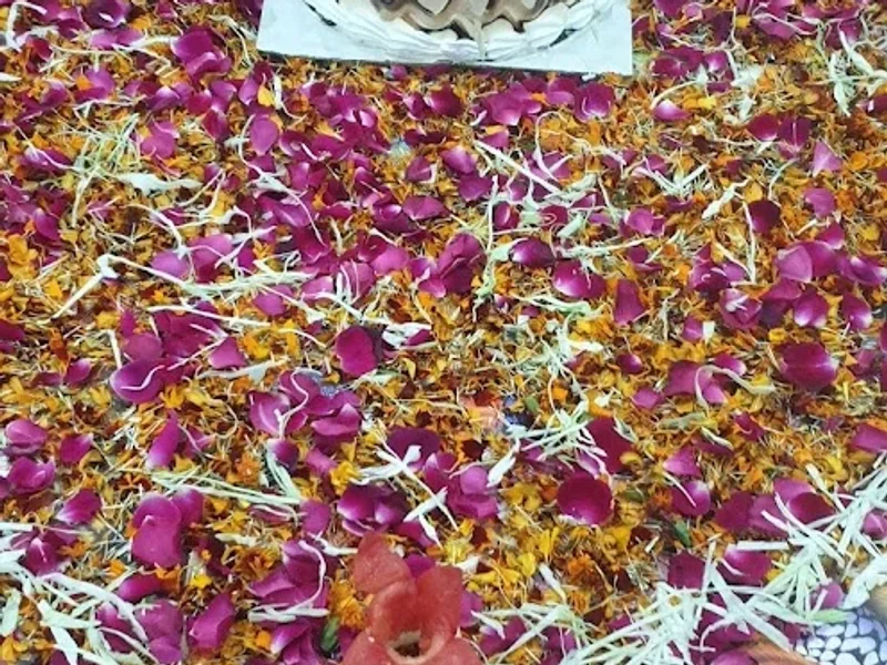 The tarka punjabi restaurant