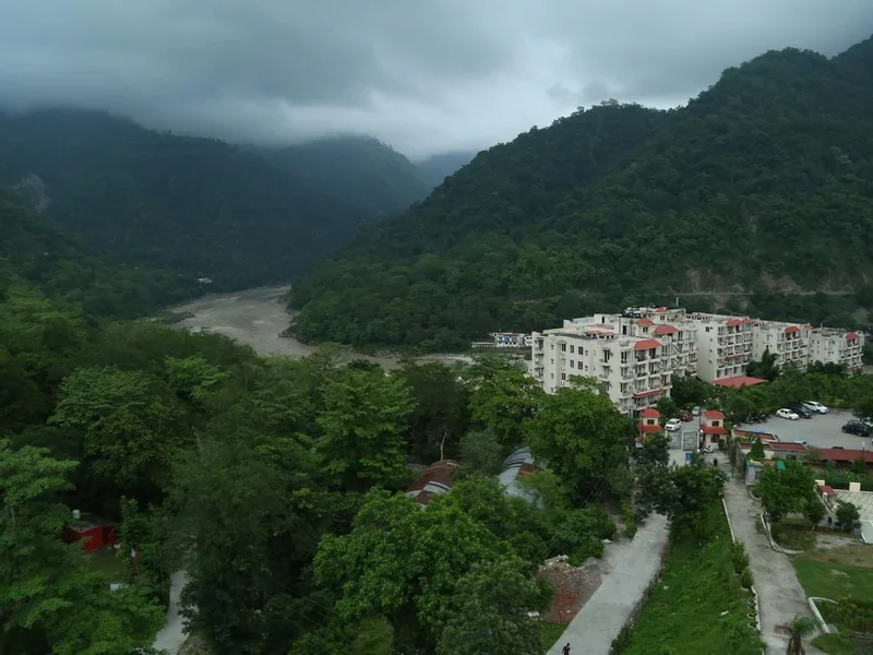 The Grand Alova by Wild Heritage