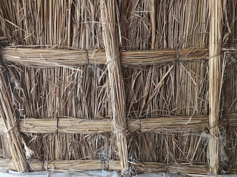 Bhagwan Das Guest House