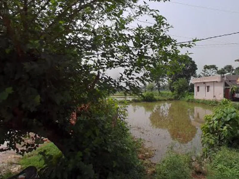 Zaika restaurant