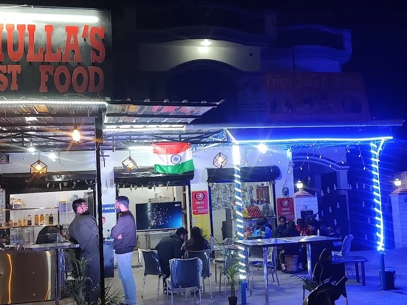 The Bhulla's Fast Food #Bff