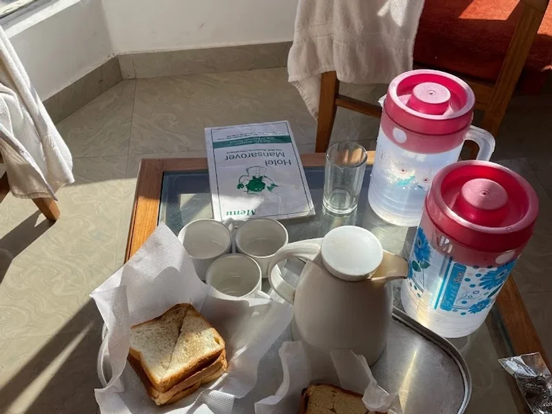 Hotel Mansarover