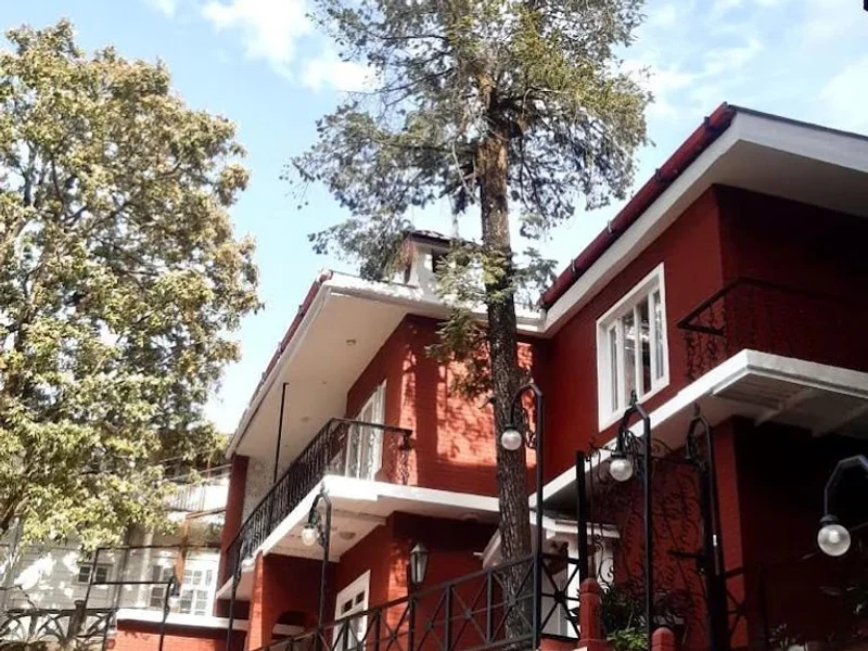 Mango Tree Courtyard Mussoorie