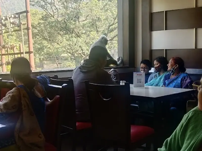 Chotiwala Restaurant