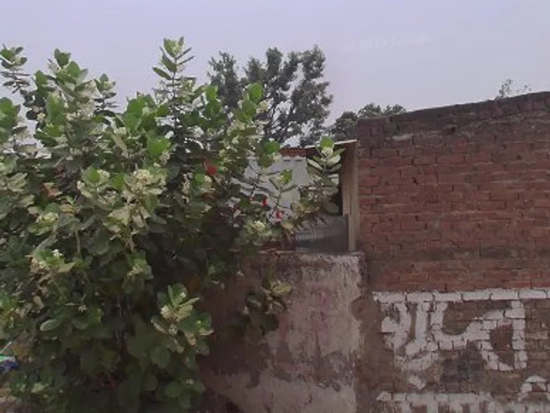 Wine and Beer Shop Bhadrabad