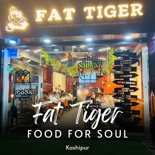 Fat Tiger- Kashipur