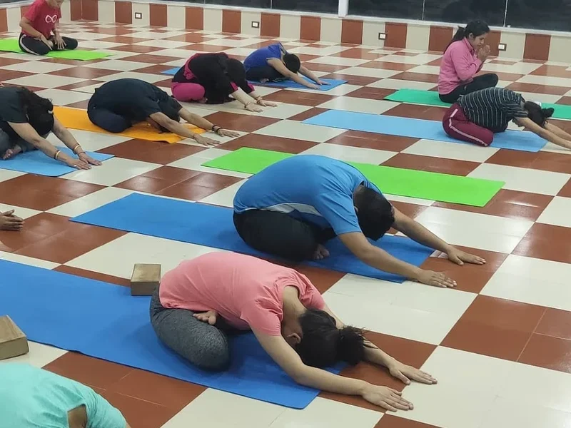 Global Peace Yoga School