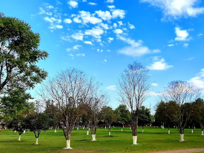 Radha Soami Satsang Beas, Dehradun