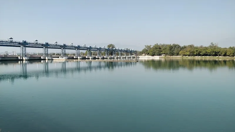 Assan Barrage Bird Sanctuary