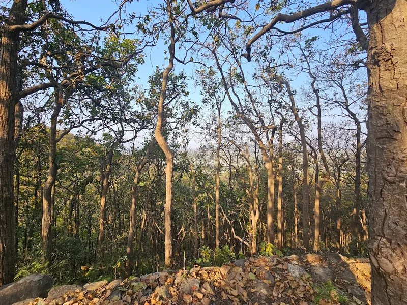 Sura Devi Temple