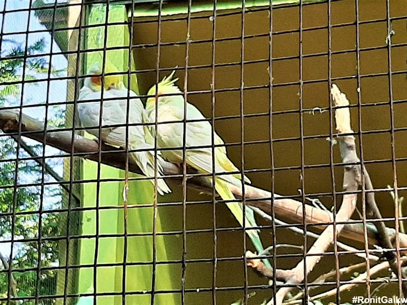 Zonal Anthropological Museum