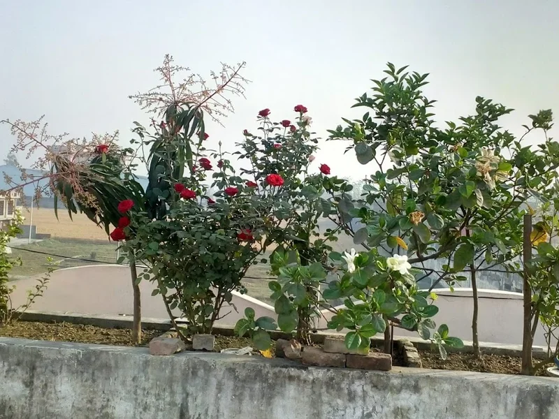 Jawaharlal Nehru Park