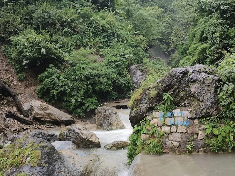 Shikhar fall