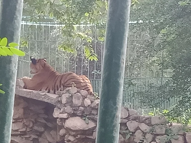 Shri Rampuram Children's Park