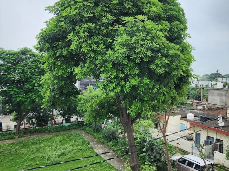 Ginny's Park, Gayatri Park Awas Vikas Rudrapur