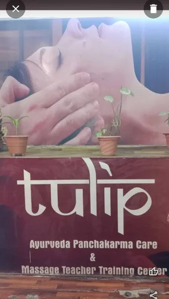 Tulip Ayurveda Care & Massage Center | Best Ayurveda Care & Massage Center in Rishikesh