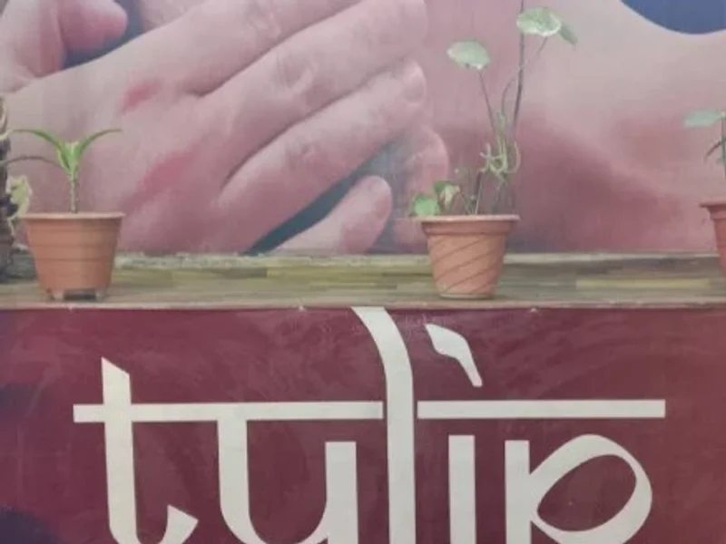 Tulip Ayurveda Care & Massage Center | Best Ayurveda Care & Massage Center in Rishikesh