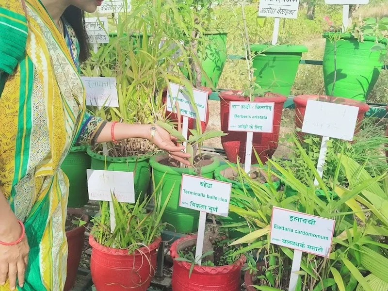 Relax Herbal Treatment Center