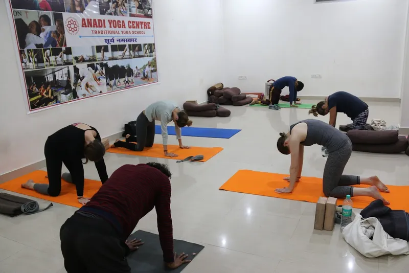 Anadi Yoga Centre -Yoga Alliance Registered School