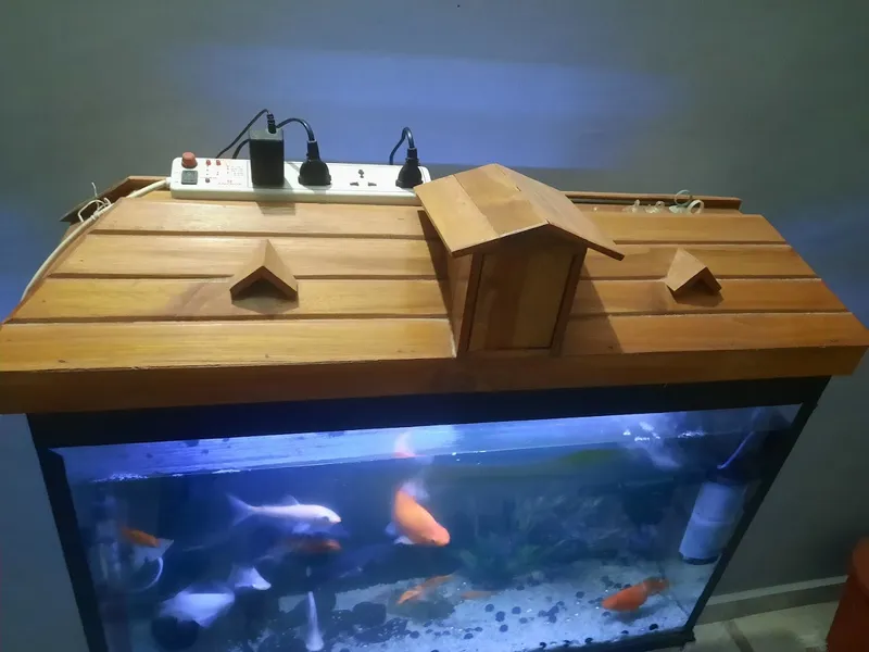 Jaishika Fish Aquariums