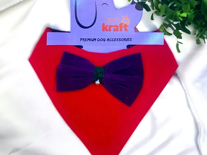 𝗢𝗵 𝗠𝘆 𝗣𝗲𝘁𝘀 - 𝗣𝗲𝘁 𝗦𝘁𝗼𝗿𝗲 & 𝗕𝗮𝗸𝗲𝗿𝘆