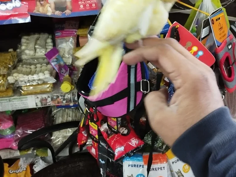 UK07 Pets World & Dog Kennel Dehradun